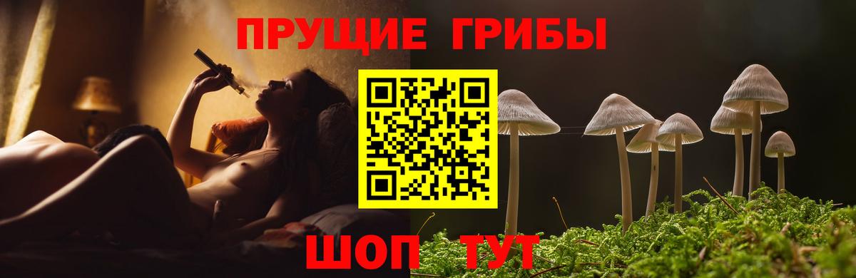 Галлюциногенные грибы прущие грибы  Вход с VPN  Казань 
